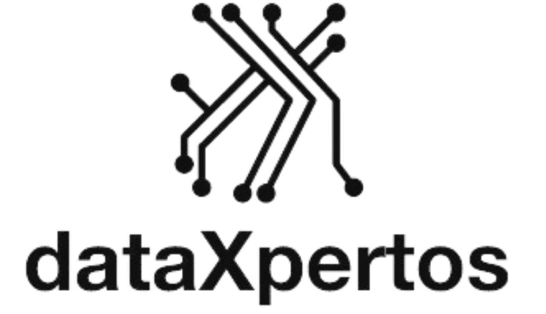 DataXpertos Logo
